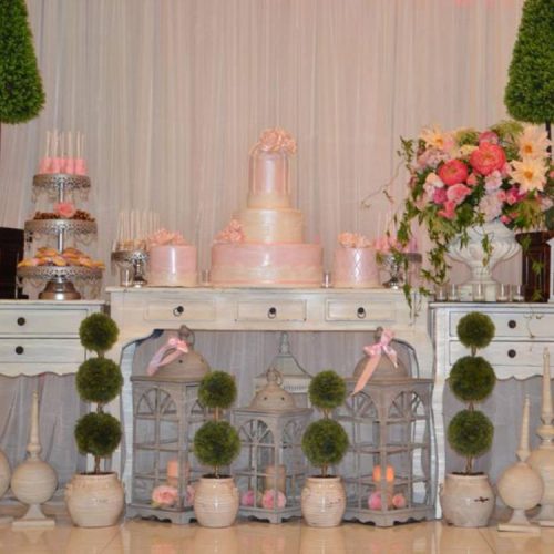 Shiraz Party Rental | Products